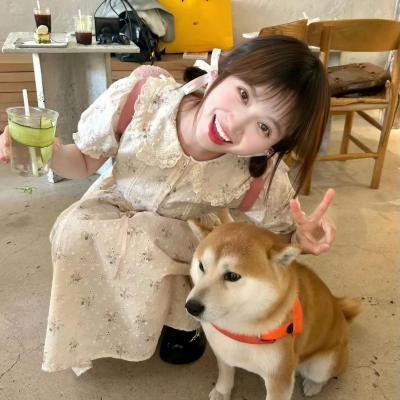 1/2的魔法